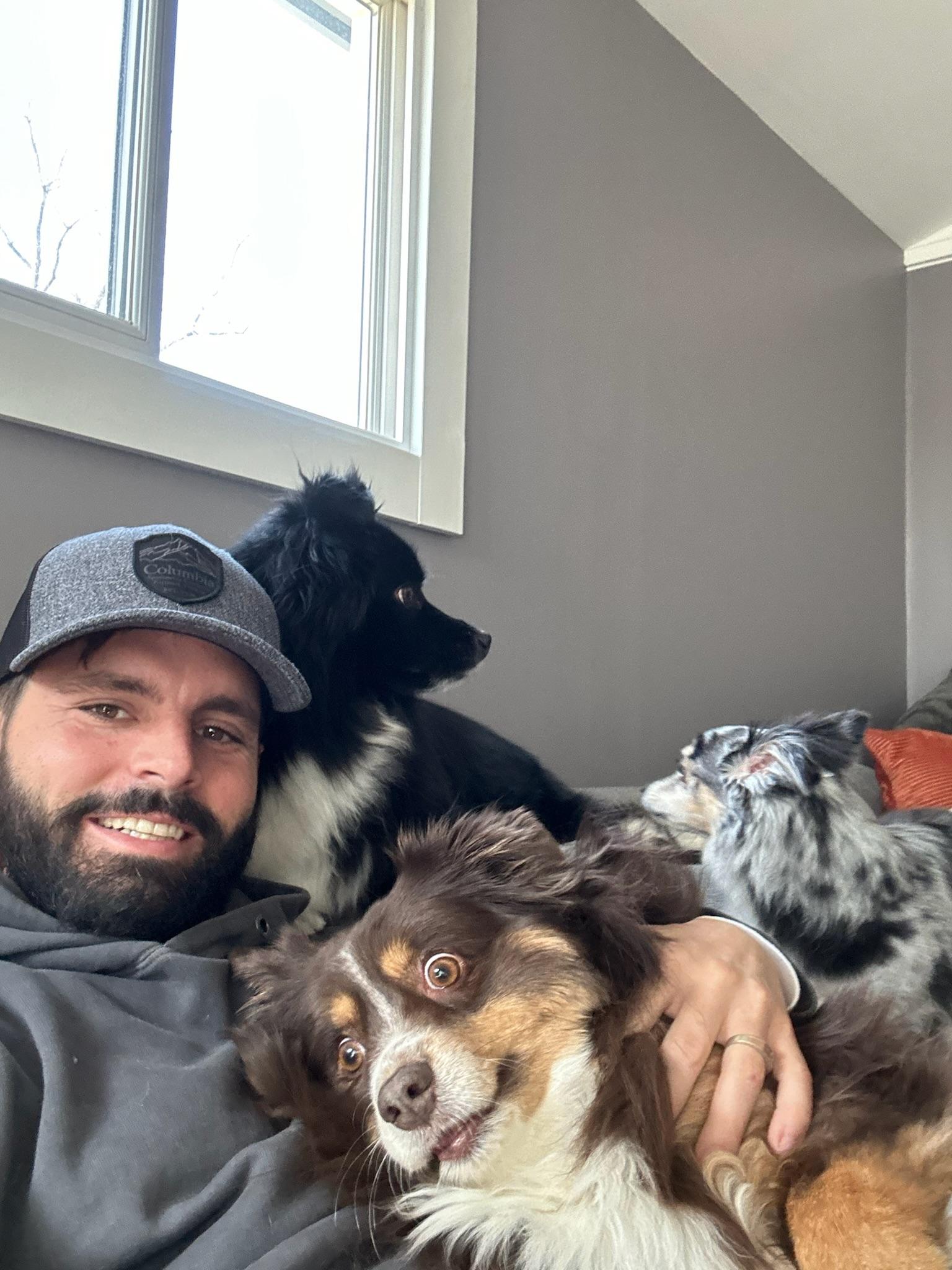 Project john with dogs
